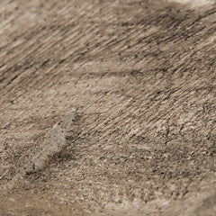 Escultura de Dashburn